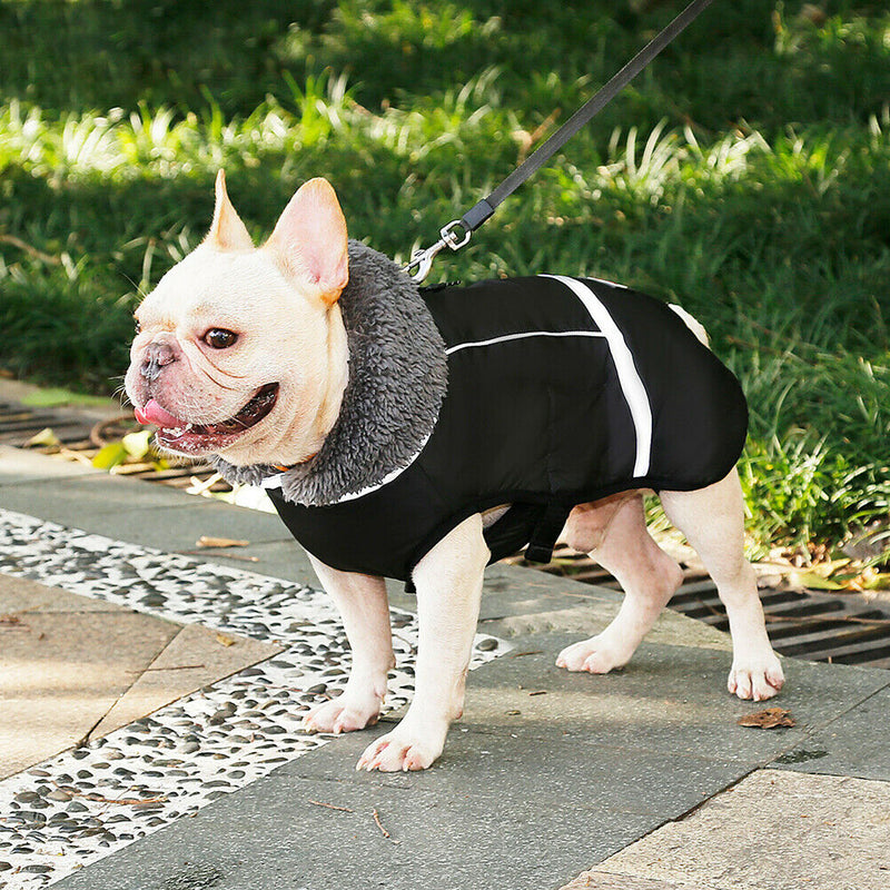 Autumn Winter Cat Dog Clothes Coat Pet Supplies
