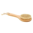 Soft Natural Bristle Wood Oval Body Bath Brush SPA Shower Massage Scrubber