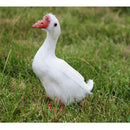 Artificial Feather Bird Stand White Goose Birds Home Garden Christmas Decor