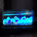 20pcs Colorful Glow in The Dark Luminous Stones Fish Tank Aquarium Pebbles Rock