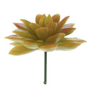 10Pcs Artificial Plastic Succulent Echeveria Flower DIY Microlandscape Decor