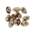 Set of 10pcs 1.2'' Speckled Decorated Faux Eggs Home Nature Craft Decor -YLW