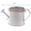 1X Decorative Garden Flower Container Display Bucket- Metal