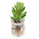 2pcs Artificial Succulents Plants Fingered Echeveria Desk Decor Photo Props