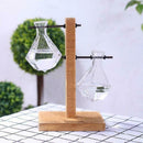 Creative Transparent Water Planting Glass Vase With Wooden Stand Desktop De S6X8
