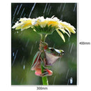 5D DIY Full Drill Diamond Painting Frog Cross Stitch Embroidery Craft Kit Decor