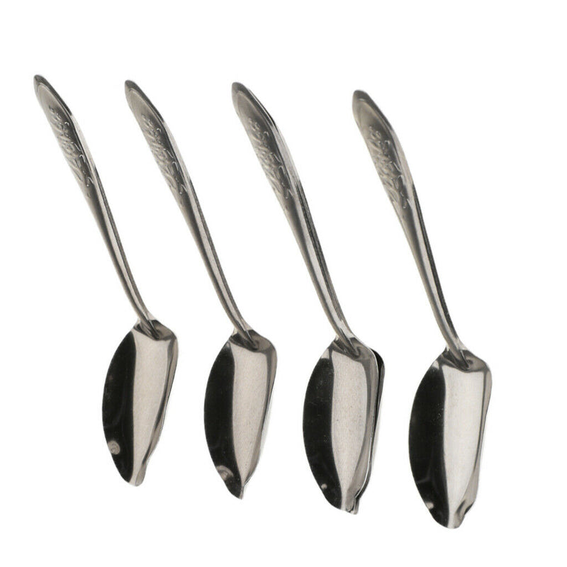 Pack Of 5 Stainless Steel Spoons For Parrot Milk For Pet Birds