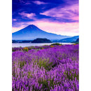 5D Scenery DIY Full Round Diamond Painting Home Decor Cross Stitch (B886)