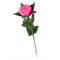 Rose Romantic Outdoor Yard Garden Path Way Tulip Bar Landscape Flower Night