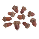 10X Rustic Natural Dried Flowers Acorns Table Ornaments Creative Decorations