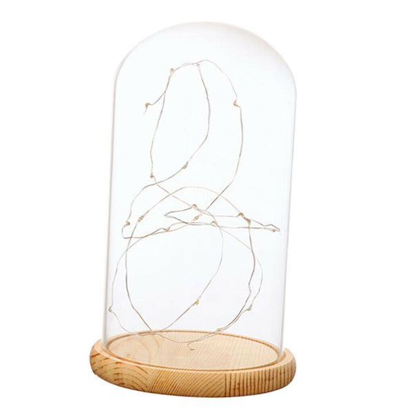 Battery Operated LED Glass Cloche Bedside Table Lamp Fairy Lights Crafts B