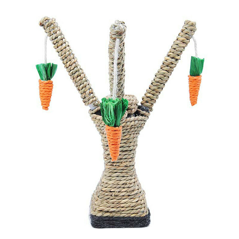 Cat Climbing Frame Funny Kitten Teeth Care Tower Shelves Scratching Post Carrot