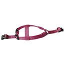 Dog Puppy Safety LED Glow Flashing Light Belt Leash Tether Harness Collar L G4B6