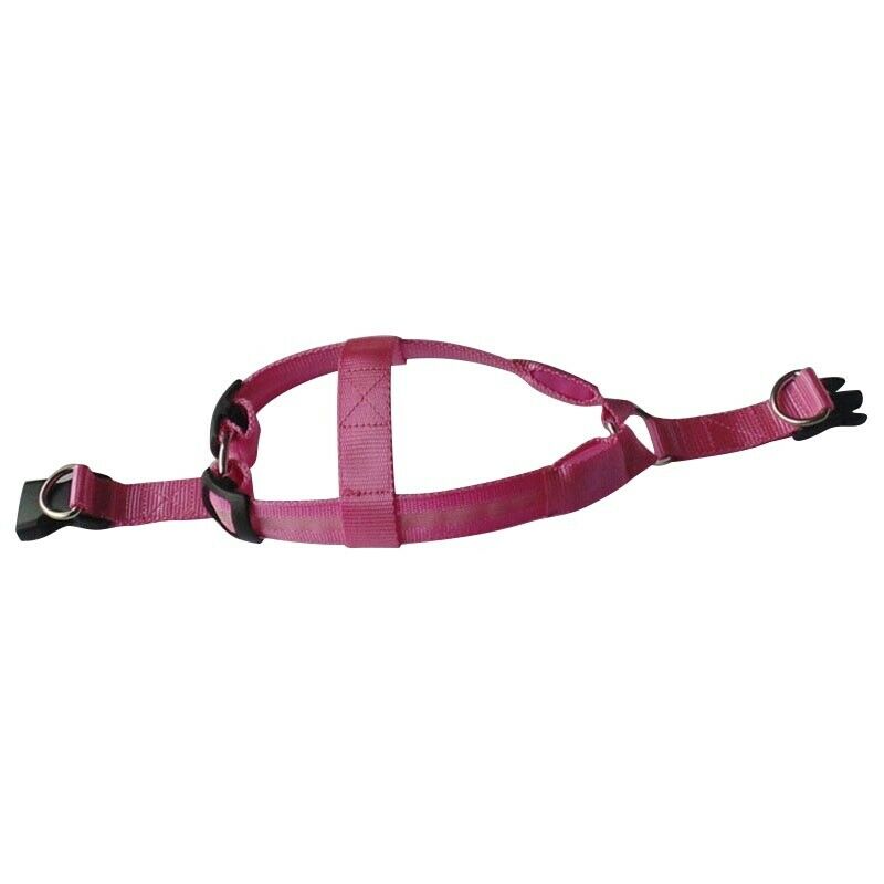 Dog Puppy Safety LED Glow Flashing Light Belt Leash Tether Harness Collar L G4B6