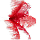 10 pcs Natural Ostrich Feathers Wedding Party Decoration Red 20-25cm