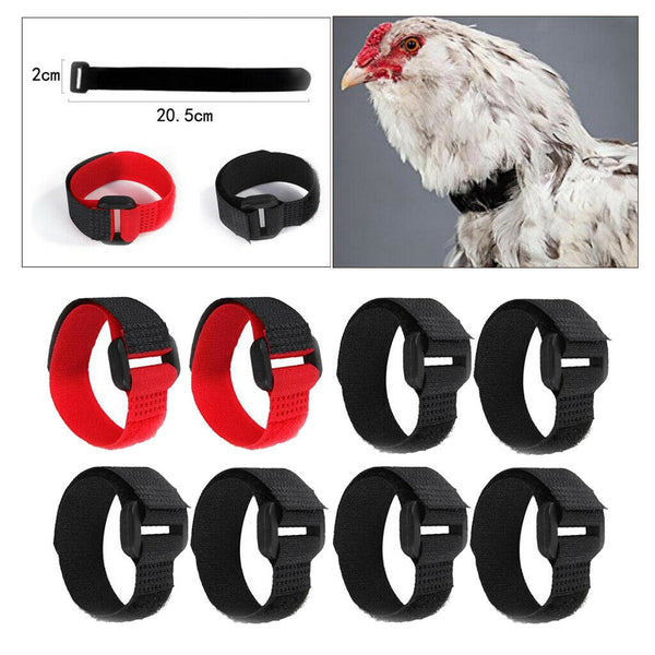 8x Chicken Collar Free Neckband Prevent Chicken from Screaming for Rooster