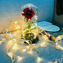 Beauty And Beast Eternal Flower Rose With Led Wedding Decoration Artificial