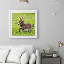 5D DIY Diamond Painting Donkey Full Round Drill Embroidery Home Decor Craft A