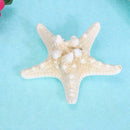 Natural Sea Star Girl Hair Stick Pins Lady Hair Clip Clamp Head Accessories