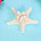 Natural Sea Star Girl Hair Stick Pins Lady Hair Clip Clamp Head Accessories #gib