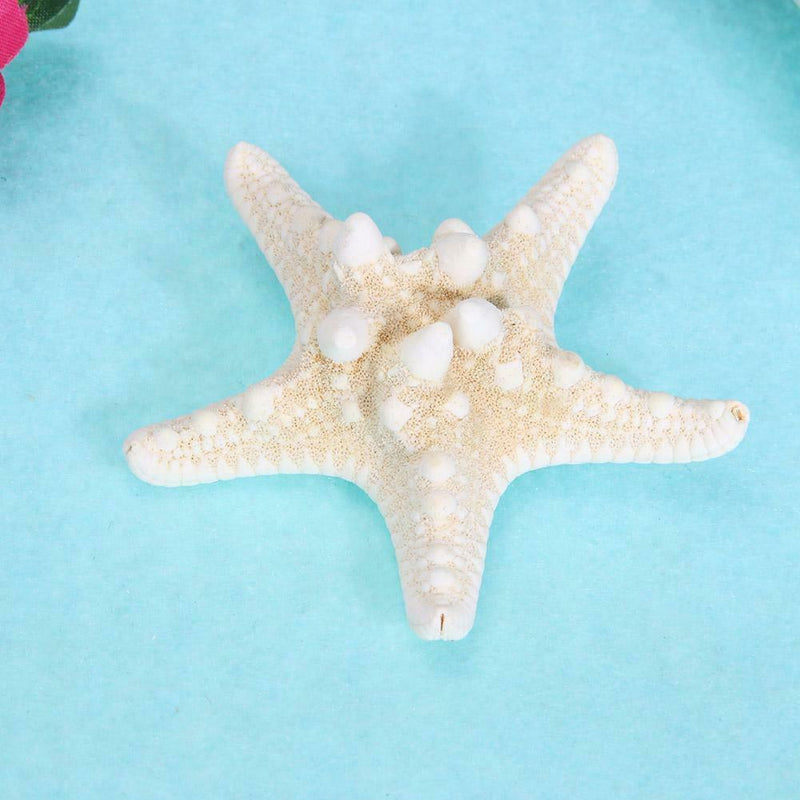 Natural Sea Star Girl Hair Stick Pins Lady Hair Clip Clamp Head Accessories