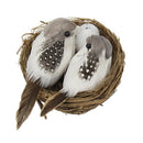 Lifelike Artificial Feathered Foam Birds & Nest & Birds Egg, DIY Parrot Crafts