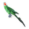 2pcs Vivid Colorful Parrot Birds Statue Garden Sculpture Home Art Ornament 45cm
