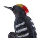 Artificial Feather Vivid Home Garden Decor Ornament Woodpecker Garden Tool