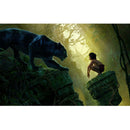 5D DIY Full Drill Diamond Painting Leopard Boy Cross Stitch Embroidery Kit