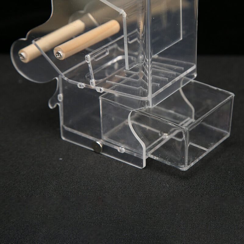 Pet Parrot Automatic Transparent Feeder Birds Splash-proof Food Dispenser