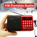Mini Portable FM Radio LCD Digital MP3 Player Speaker Rechargeable AUX USB TF