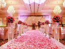 100pcs Roses Artificial Flowers Petals for Wedding Decoration - Light pink Z9M2