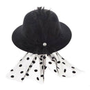 Mini Hat Mini Hat Hair Clip with Black Feather Hair Clips