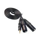 5 Feet 3.5mm (Mini) Male to Dual XLR Male Microphone Cable, Stereo Audio
