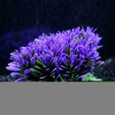 Plastic Artificial Water Green Grass Plant Aquarium Fish Ornament Type Tank I2S4