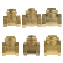 DN15 One Way Swing Check Valve, Female Thread, Brass Material, 1/2 Inch