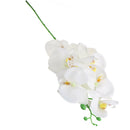 Lifelike Silky 93cm Artificial Phaleanopsis Orchid 9 Heads Flowers White