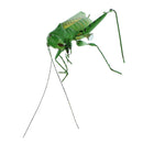 2 Pieces Magnetic Lifelike Ladybug & Katydid Clay Insects Bugs Figures Realistic