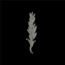 Metal Dies Weeping Willow Cutting Dies Stencil DIY Photo Album Card Embossing JR