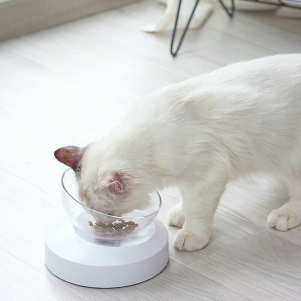 e els pet Pet Bowls for Cats and Small Dogs - Plastic 20 Degree Tilted ElevaL4R9