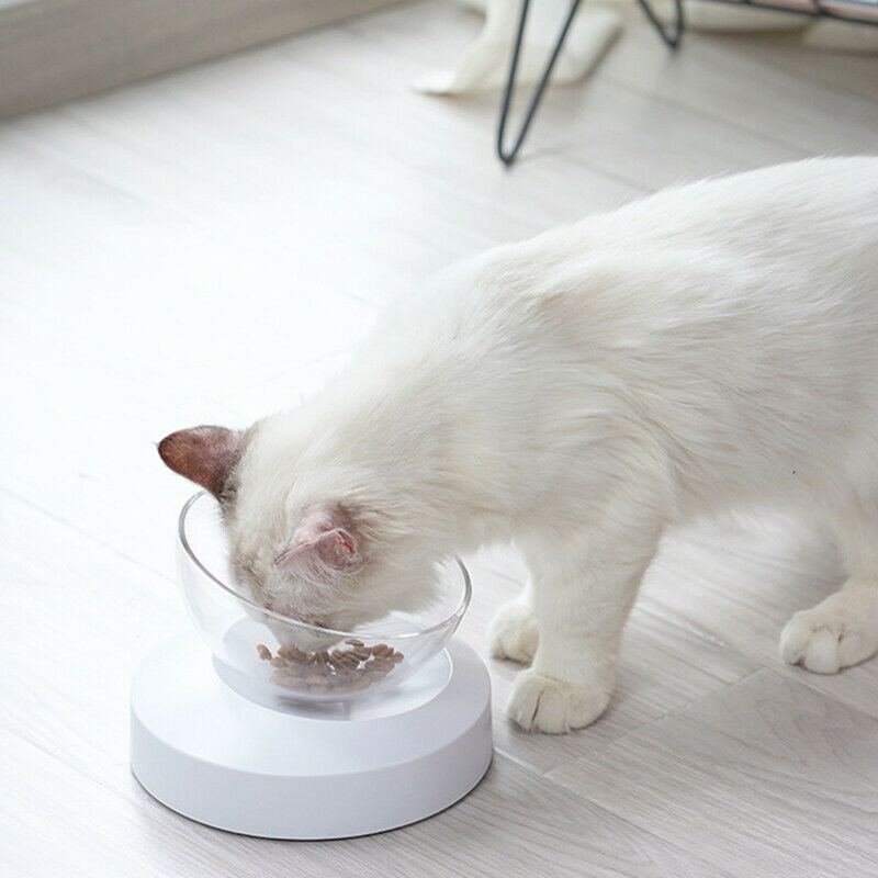 e els pet Pet Bowls for Cats and Small Dogs - Plastic 20 Degree Tilted ElevaL4R9