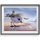 5D DIY Full Drill Diamond Painting Bird Embroidery Mosaic Craft Kits Decor