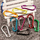 10Pack Multicolor Snap Hook Carabiner D Ring Key Chain Clip Key USA