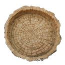 Multi-functional Food Bowl Reptiles Turtle Tortoise  Play Rest Type 2