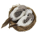 Lifelike Artificial Feathered Foam Birds & Nest & Birds Egg, DIY Parrot Crafts