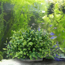 Artificial Water Grass Seeding Turtles Fish Tank Plants for Aquarium Decor