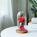 Birthday Gift Beauty And The Beast Red Rose With Fallen Petals In A Glass D S9L4