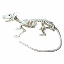 Nice Skeleton Rat PP+PVC Animal Skeleton Bones for Horror Halloween Decorat O3A7