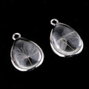2x Water Drop Glass Natural Dried Flower Pendant Home Hanging Decoration 2cm