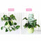 3pcs Mini DIY Leaf Shape Garden Trellis Plants Lattice Pots Supports for Cl
